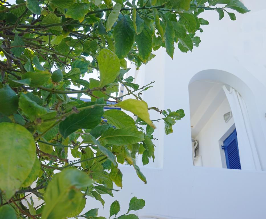 Klironomos Apartments Логарас Экстерьер фото