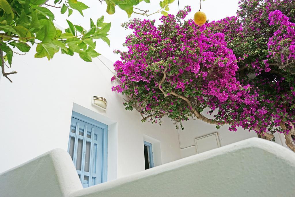 Klironomos Apartments Логарас Экстерьер фото