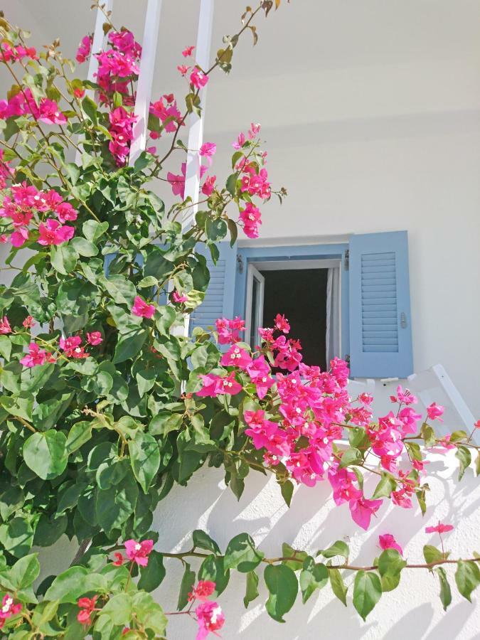 Klironomos Apartments Логарас Экстерьер фото